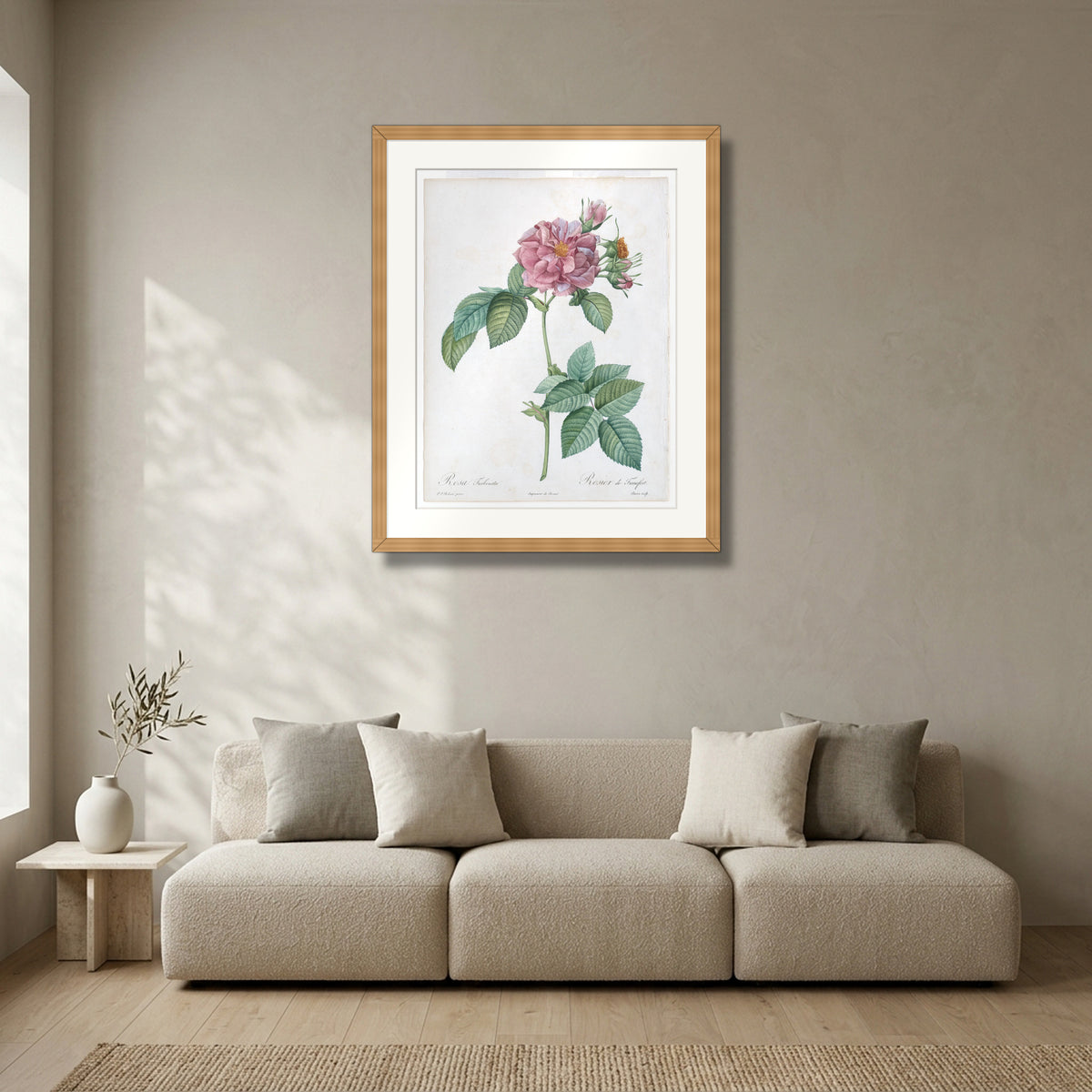 Empress Josephine Rose (Les Roses) (1817–24) – Pierre-Joseph Redouté framed in solid natural oak in a modern living room