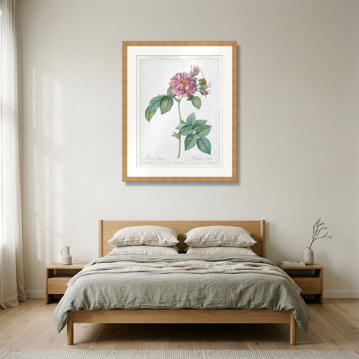 Empress Josephine Rose (Les Roses) (1817–24) – Pierre-Joseph Redouté framed in natural oak in a Nordic bedroom
