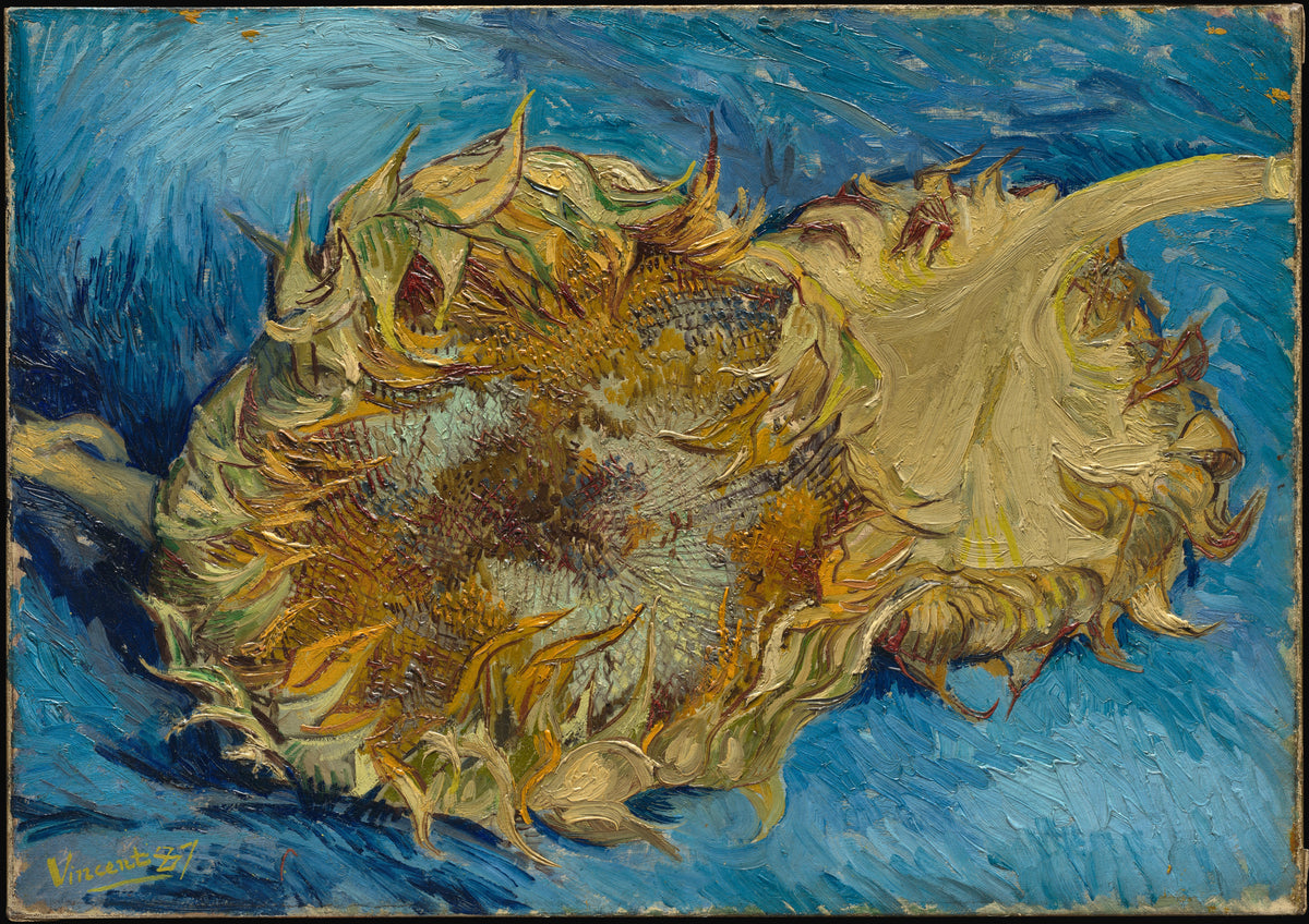 Sunflowers (1887) – Vincent van Gogh – full uncropped restored painting